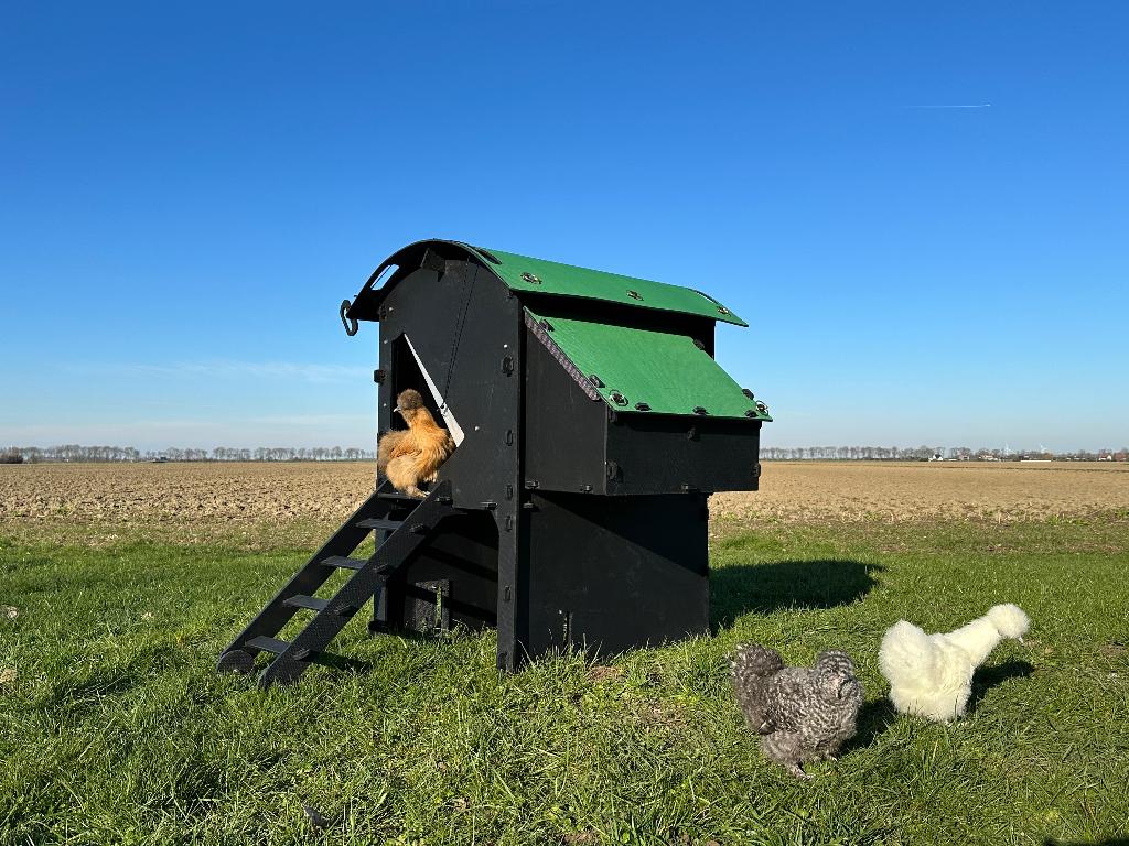 Kunststof Kippenhok – Nestera Medium Verhoogd, Dieren en Toebehoren, Ophalen of Verzenden, Nieuw, Kippenhok of Kippenren