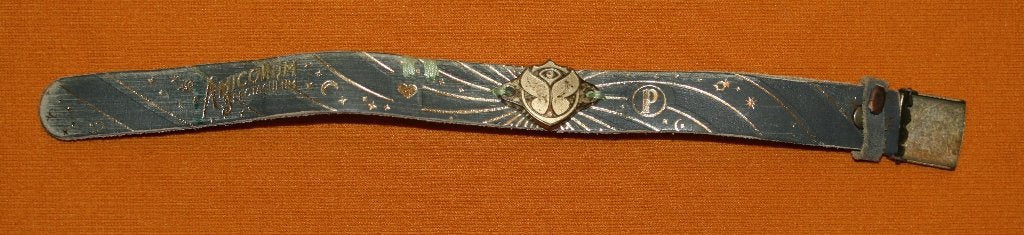 Tomorrowland 2017 Amicorum Spectaculum brecelet, Verzamelen, Ophalen of Verzenden, Gebruikt