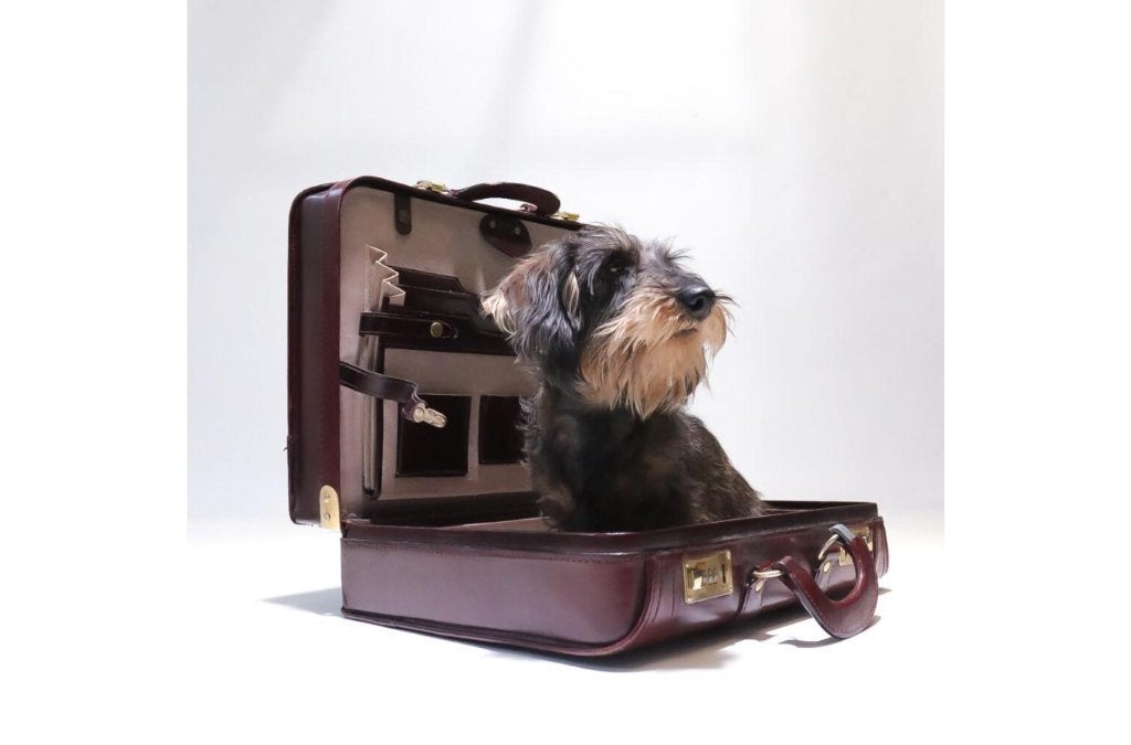 Hollywood Regency Pilotenkoffer Attaché, Handtassen en Accessoires, Koffers, Ophalen, Leer