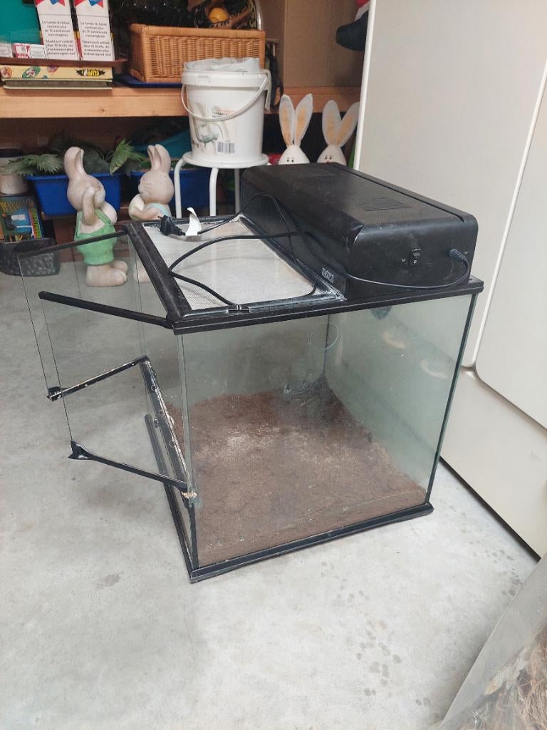 terrarium, Enlèvement, Utilisé, Terrarium ou Paludarium