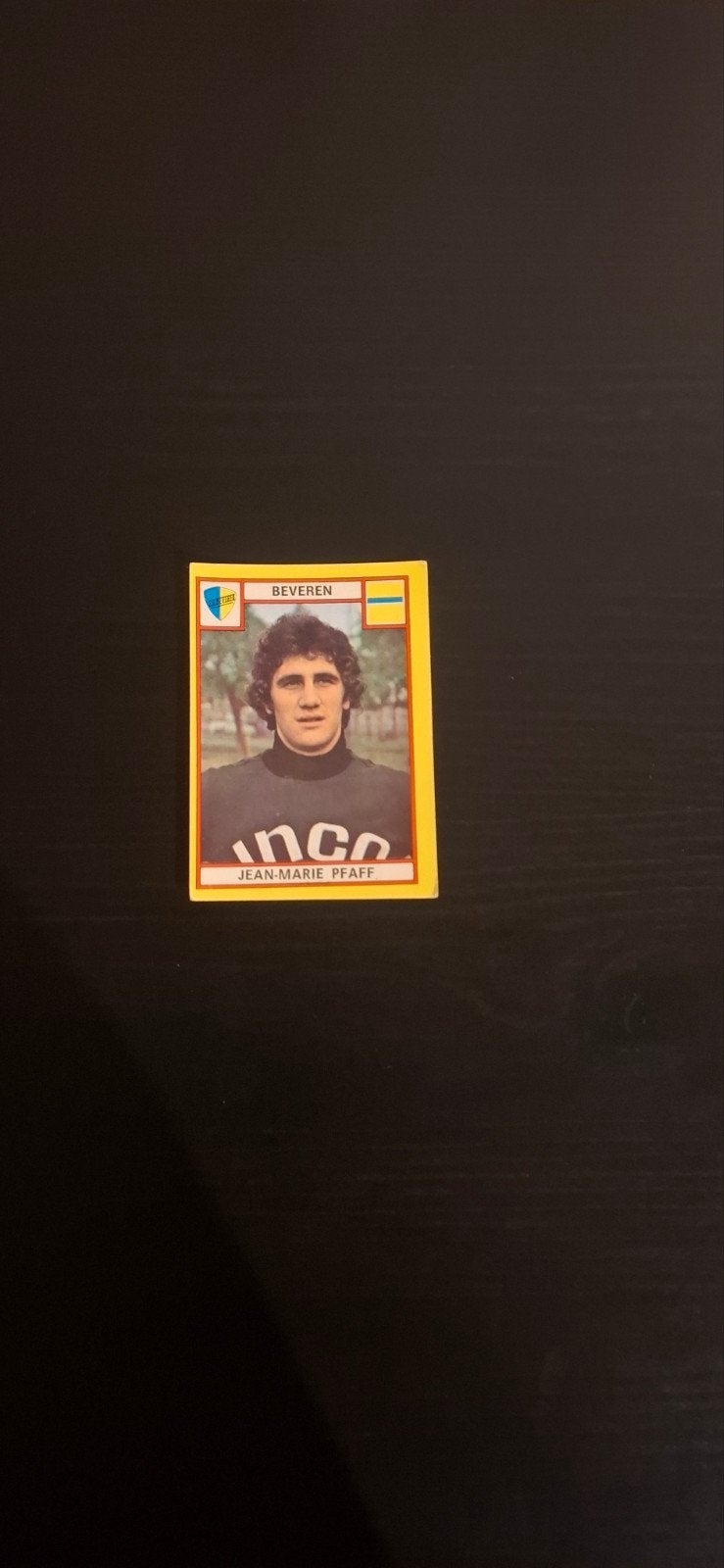 Panini voetbal 1975, Ophalen of Verzenden