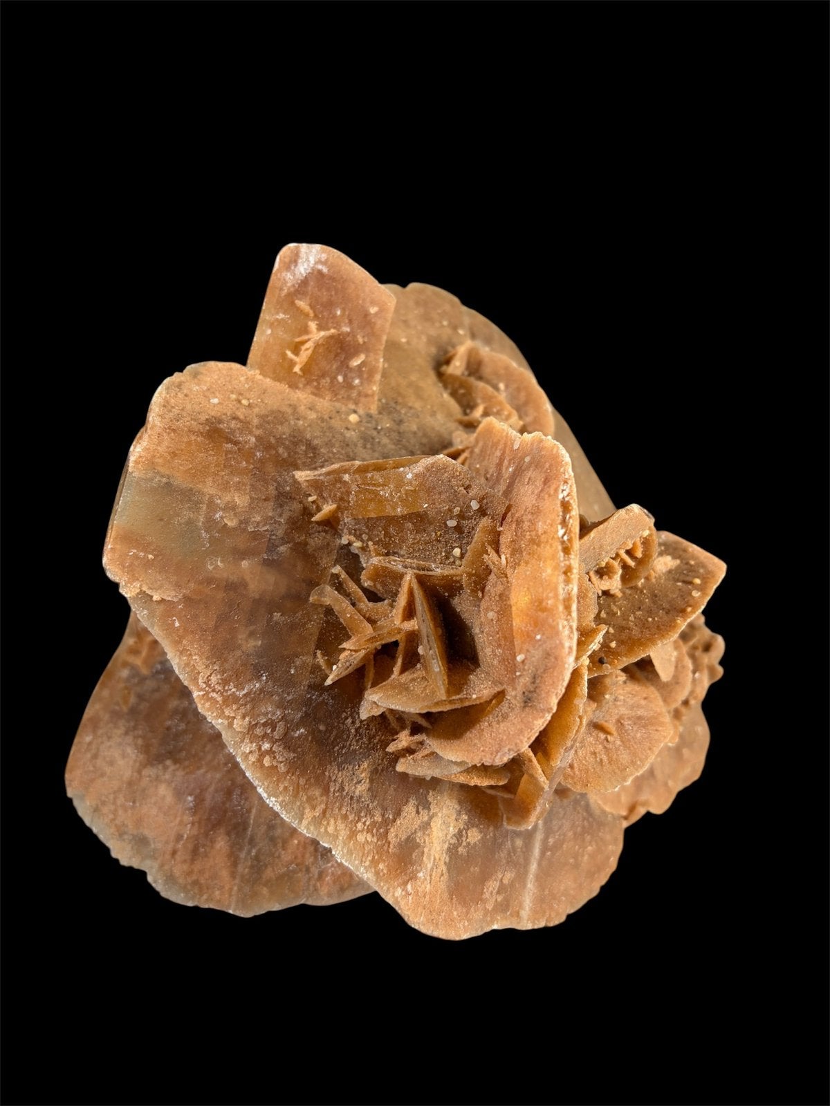Prachtige woestijnroos– meerdere grote rozetten – 1,1 kg, Verzamelen, Ophalen, Mineraal