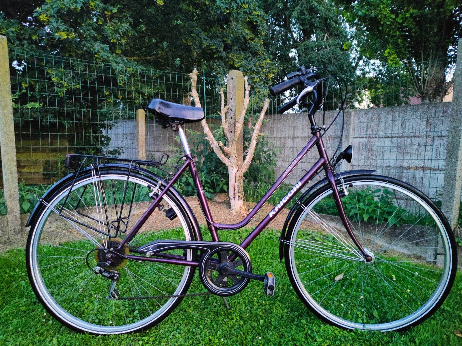 Vélo pour femme, vélo pour fille, vélo d'étudiant, vélo de v, Enlèvement, Vitesses