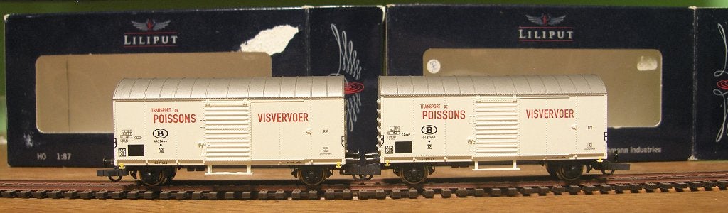 Liliput Viswagens, Ophalen, Gelijkstroom, Analoog, Liliput
