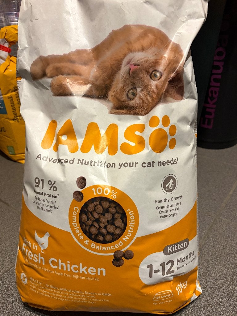 Croquettes chat Iams Kitten 1-12 mois 10kg, Animaux & Accessoires, Enlèvement, Chat