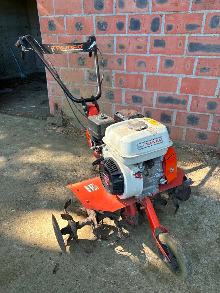 Tuinfrees, Doe-het-zelf en Bouw, Ophalen, Tuinfrees