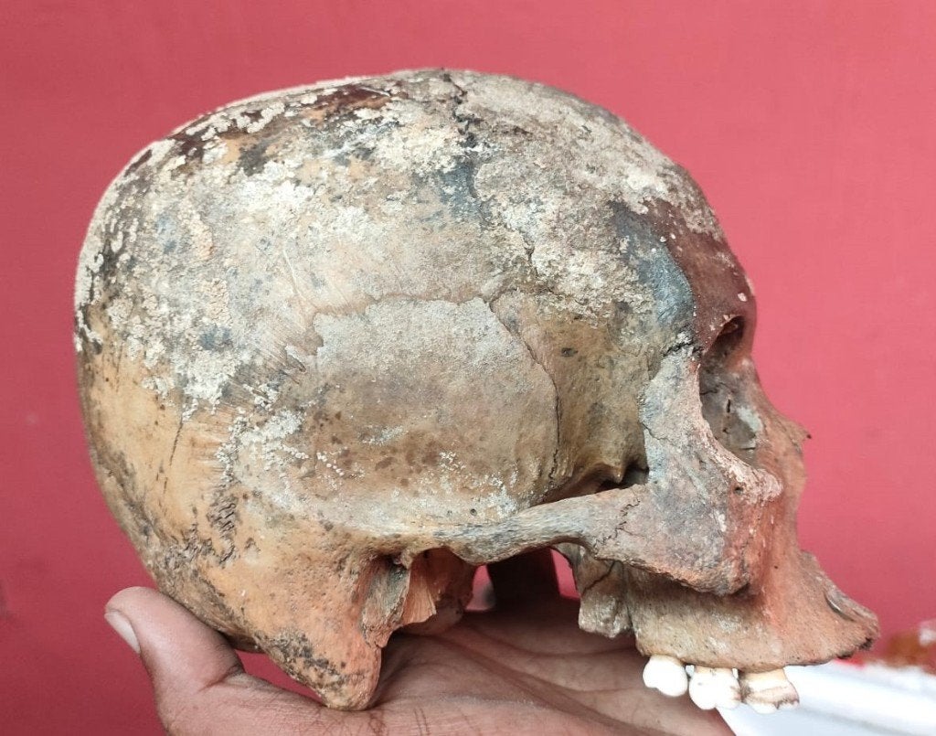 Homo sapiens, Enlèvement ou Envoi, Fossile