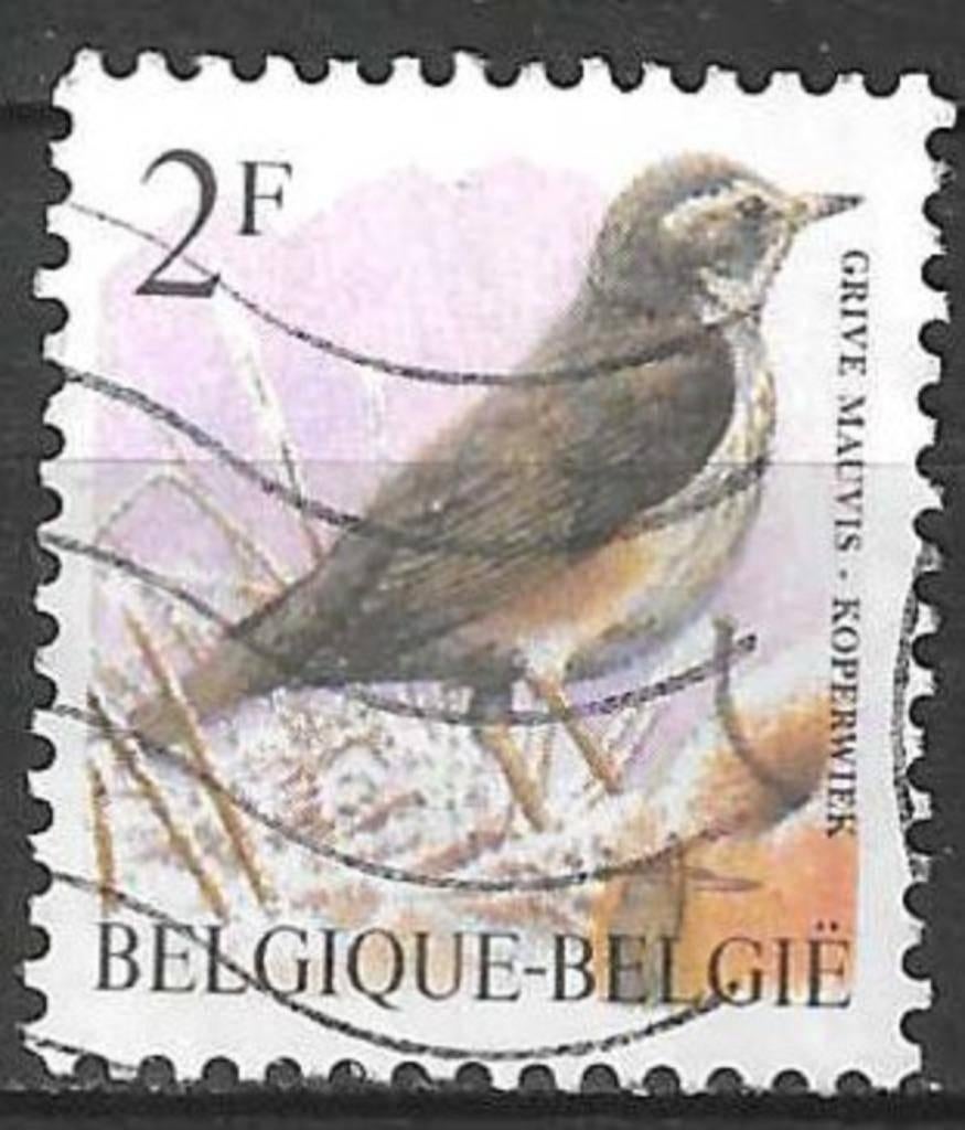 Belgique 1996 - Yvert 2646 /OBP 2653 - Buzin - Koperwie (ST), Envoi, Affranchi, Oblitéré, Véhicules