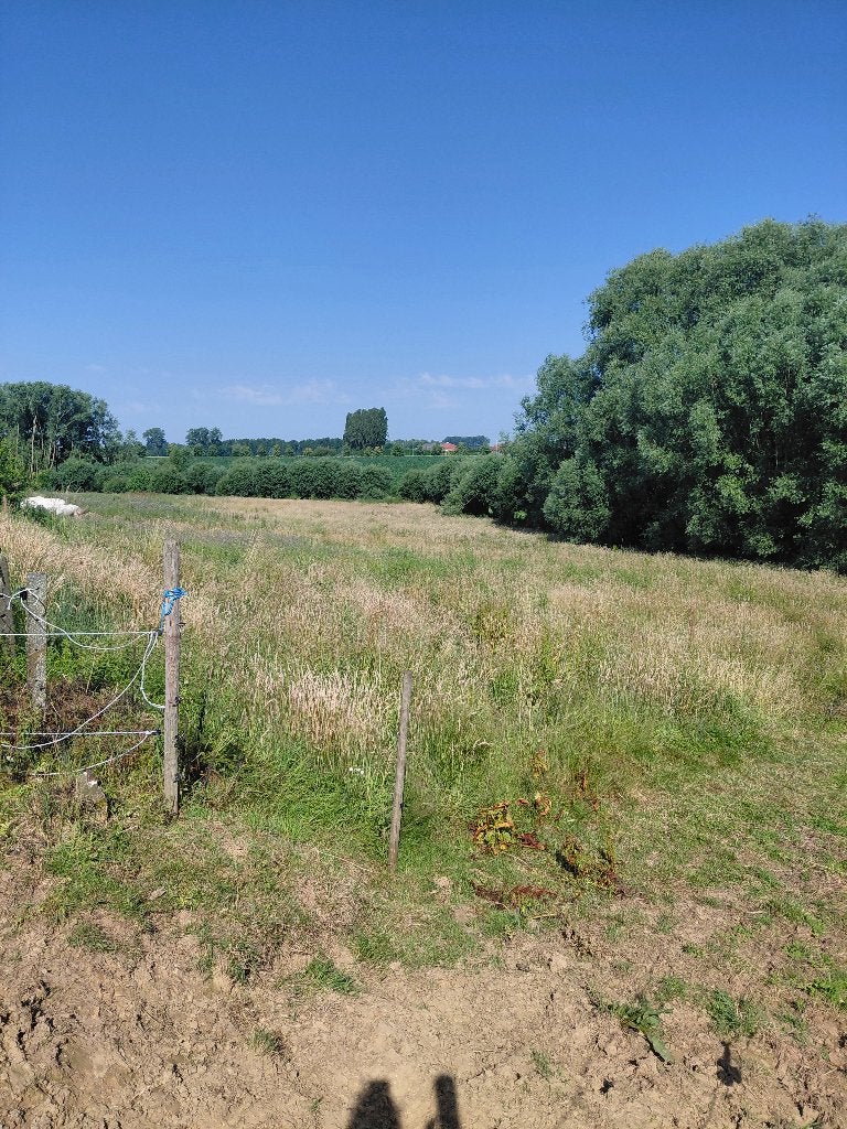 Weide te huur, Dieren en Toebehoren, Stalling en Weidegang