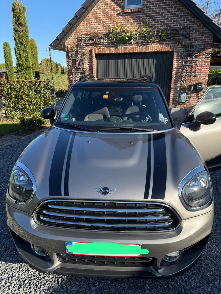Mini Countryman Cooper 2.0D, Auto's, Mini, Particulier, Cooper, Open dak, Ophalen