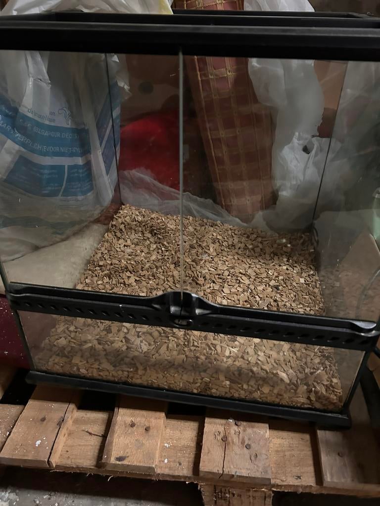 Terrarium exo tera, Enlèvement, Utilisé, Terrarium ou Paludarium