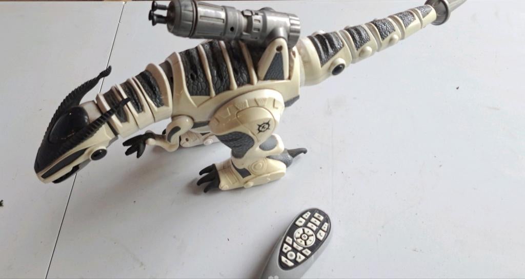 Robot t Rex télécommande, Enlèvement