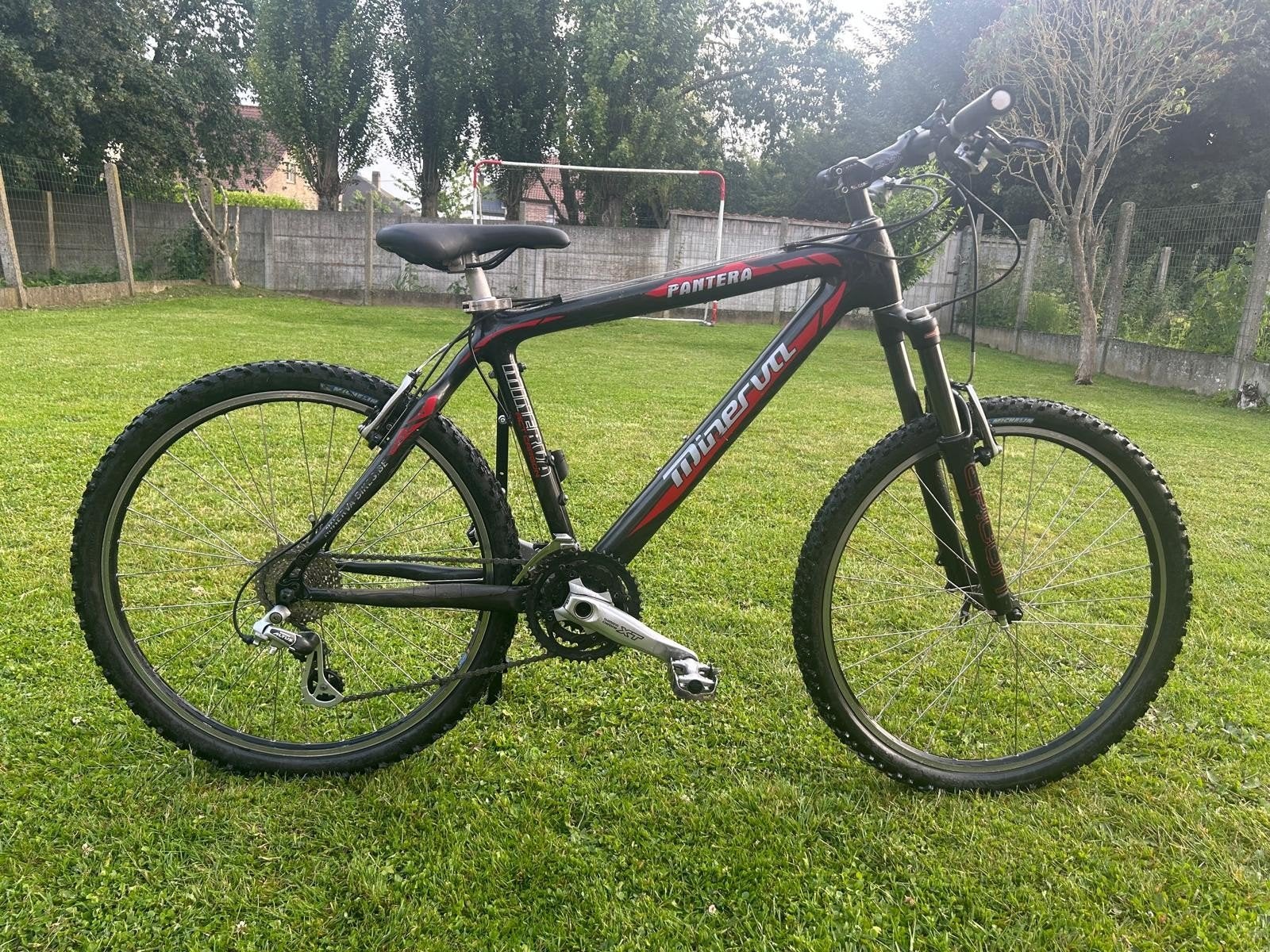 Vélo de montagne Carbon Minerva MTB VTT, Vélos & Vélomoteurs, Enlèvement, Comme neuf, Autres marques
