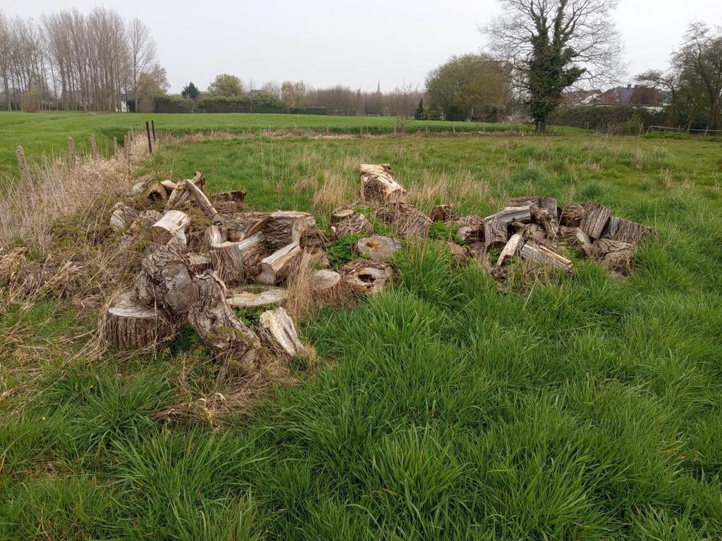brandhout, Tuin en Terras, Brandhout, Ophalen