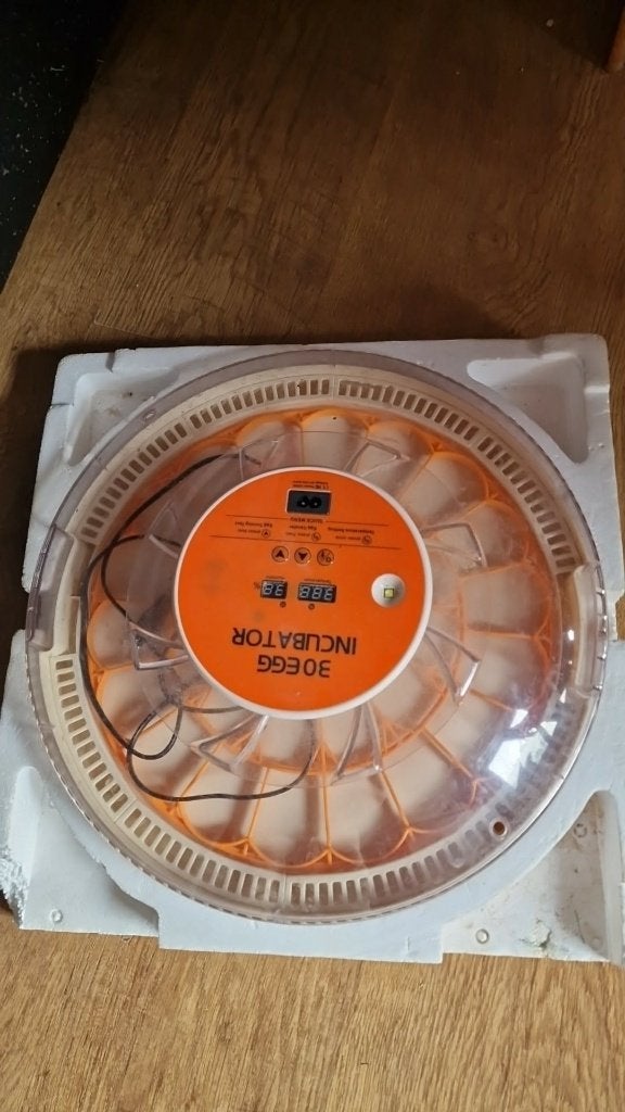 broedkast, Ophalen, Zo goed als nieuw, Broedmachine