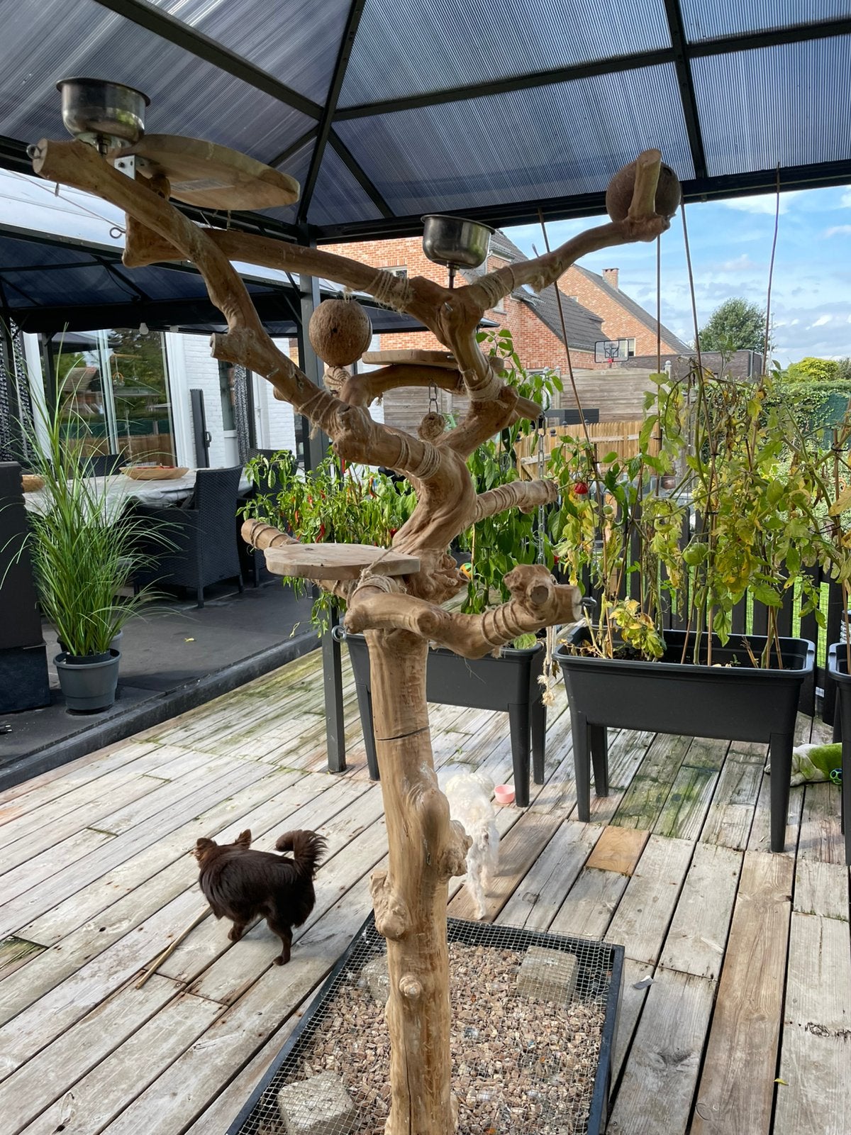 Java boom 1.65 hoog, Dieren en Toebehoren, Ophalen, Zo goed als nieuw