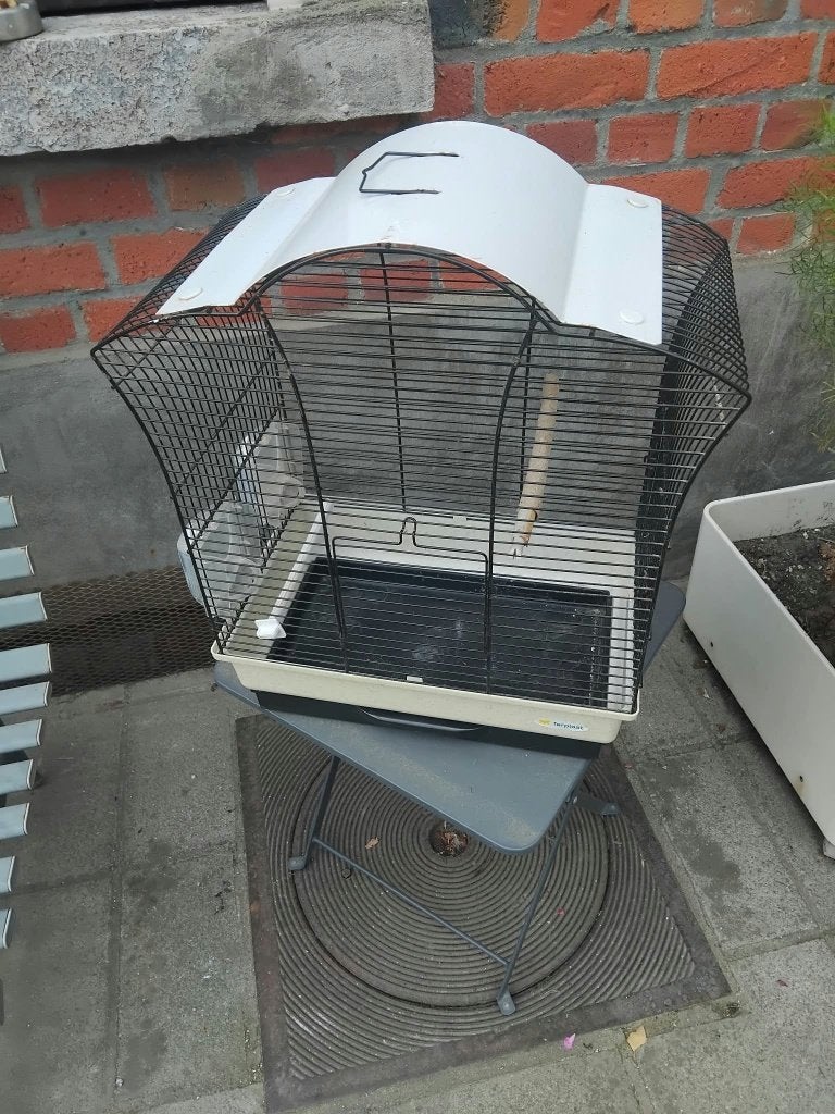 cage, Enlèvement