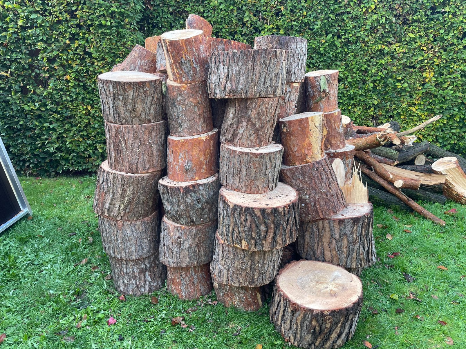 Brandhout te koop. Blokken van 30 a 40 cm dennenhout, 3 à 6 m³, Enlèvement, Autres essences de bois, Bûches