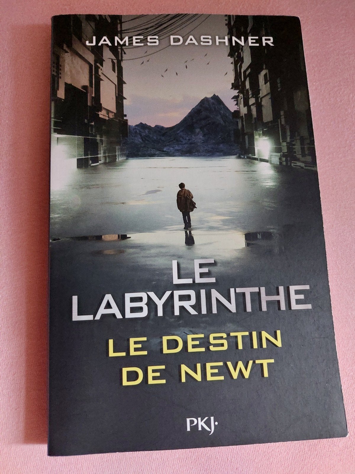 Le labyrinthe, Livres, Envoi, Neuf