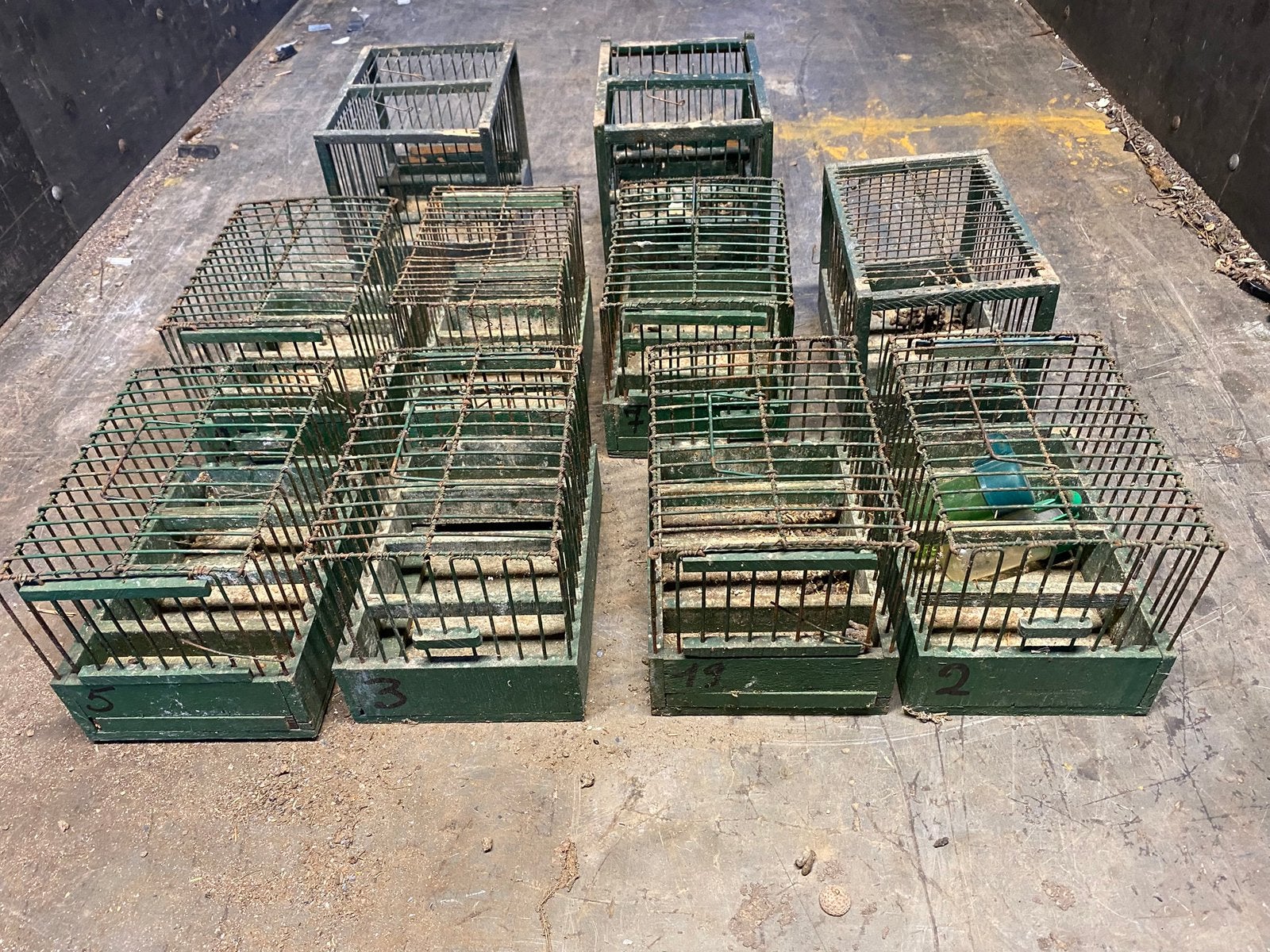 Lot de 10 cages d’oiseaux , Je suis de la région d’Herve, Enlèvement, Comme neuf