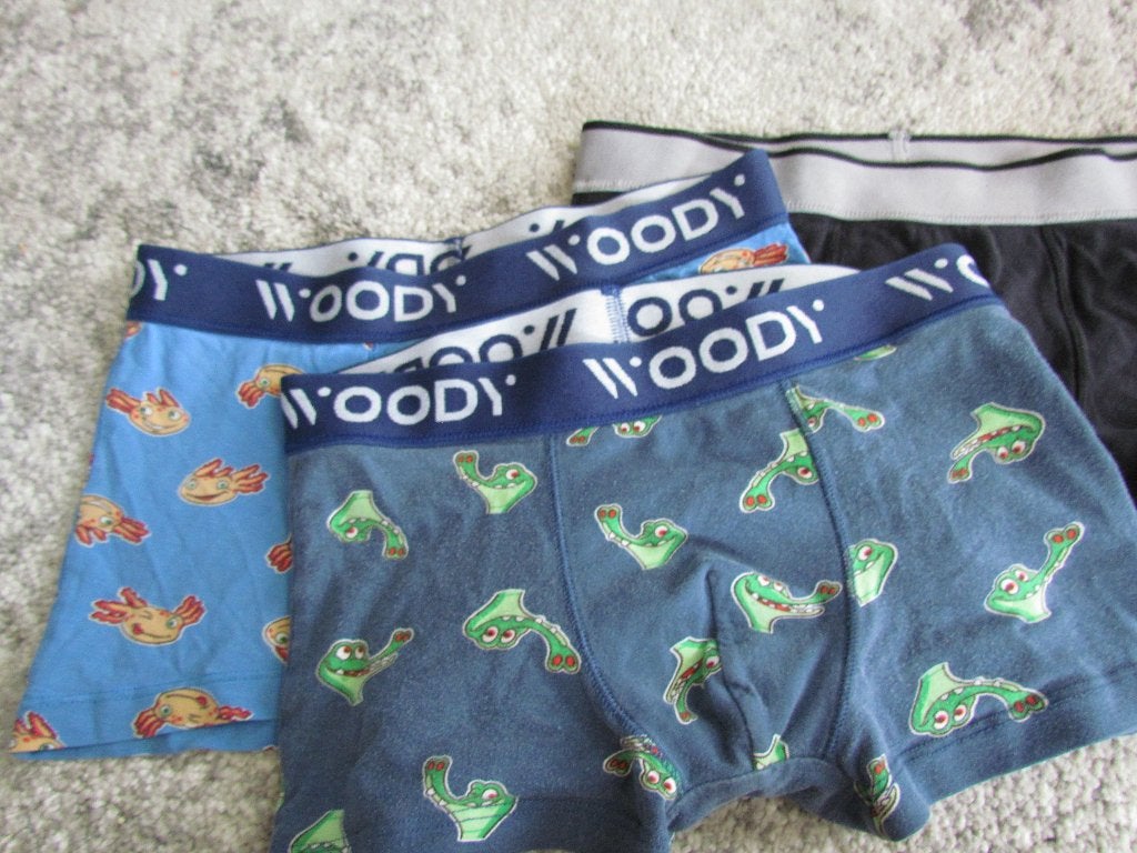 Slips Woody taille 152 pour garçon, Enfants & Bébés, Garçon, Utilisé, Woody, Enlèvement