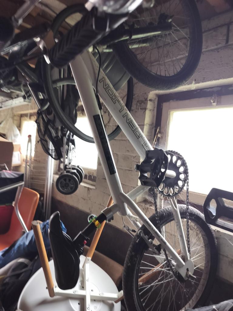 Golden lion BMX, Fietsen en Brommers, Ophalen