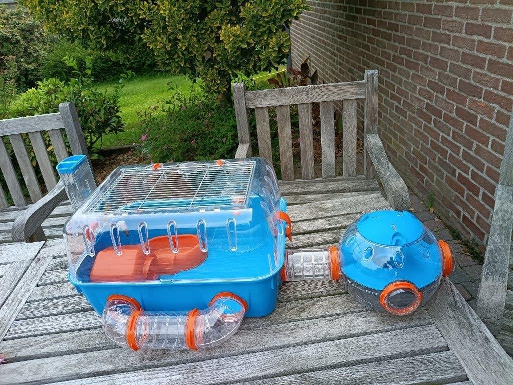 Cage à hamsters avec divertissement, Animaux & Accessoires, Rongeurs & Lapins | Cages & Clapiers, Comme neuf, Cage, Hamster, Souris