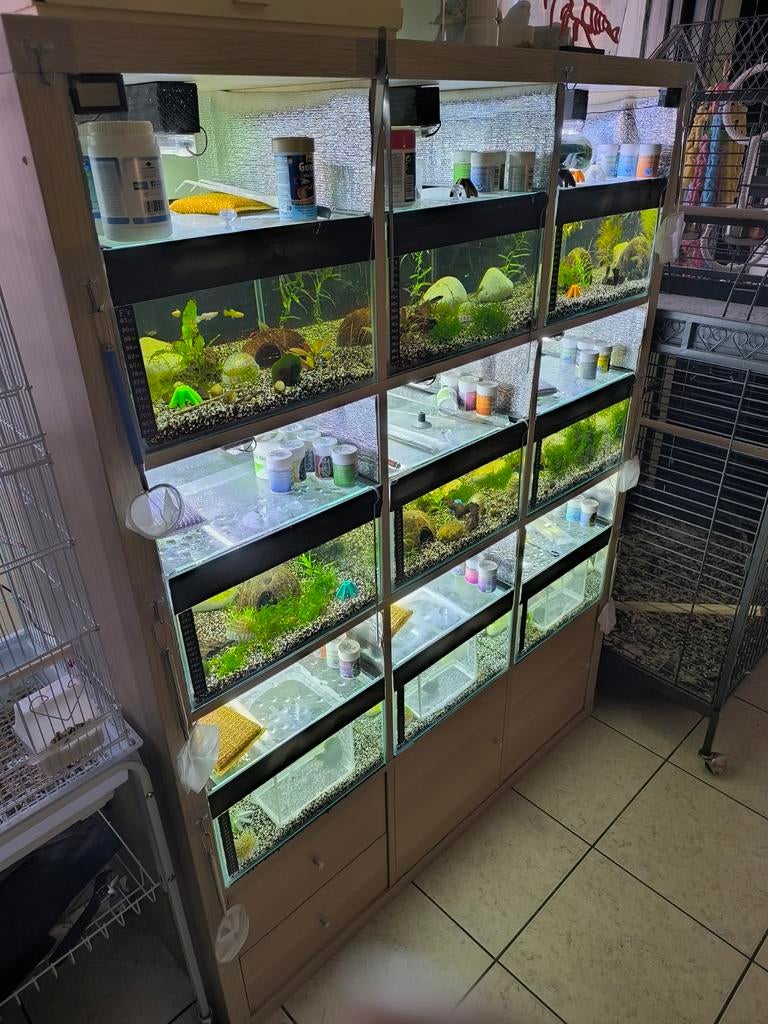 Aquarium stelling, Animaux & Accessoires, Reptiles & Amphibiens | Accessoires, Enlèvement, Utilisé, Éclairage