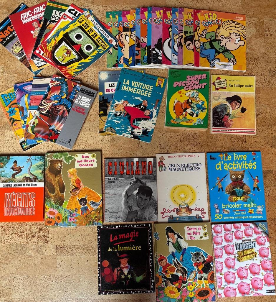 Livres (BD, romans, scolaires, encyclopédies, DVD), Livres, Enlèvement, Comme neuf, Divers auteurs