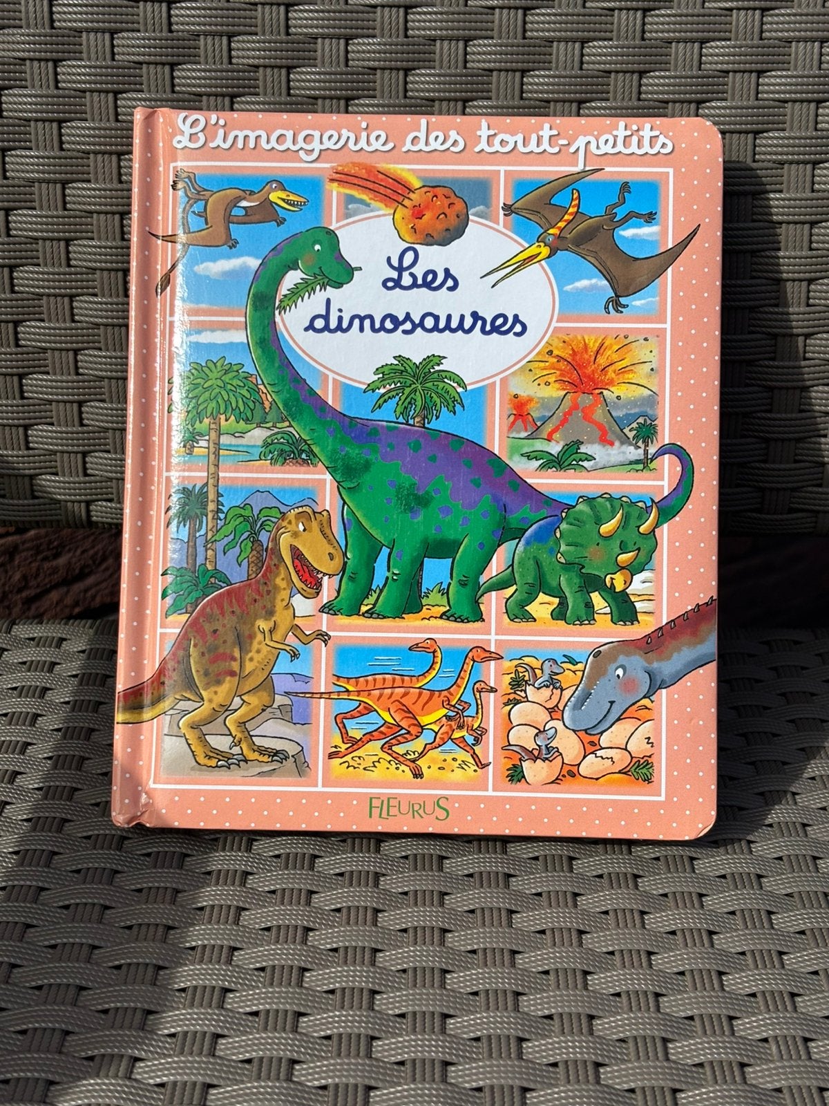 L’imagerie des tout-petits - Les dinosaures (Fleurus), Livres, Enlèvement, Comme neuf