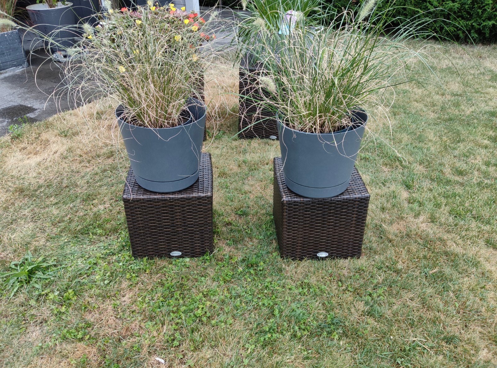 bruine wicker plantenbakken van het merk riverside, Jardin & Terrasse, Enlèvement