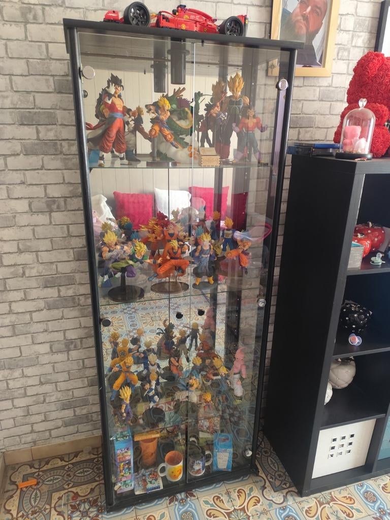 Dragon ball z, Enlèvement