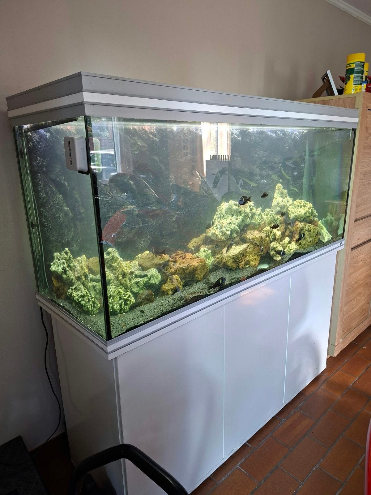 grote aquarium, Dieren en Toebehoren, Ophalen, Verwarming, Zo goed als nieuw, Filter