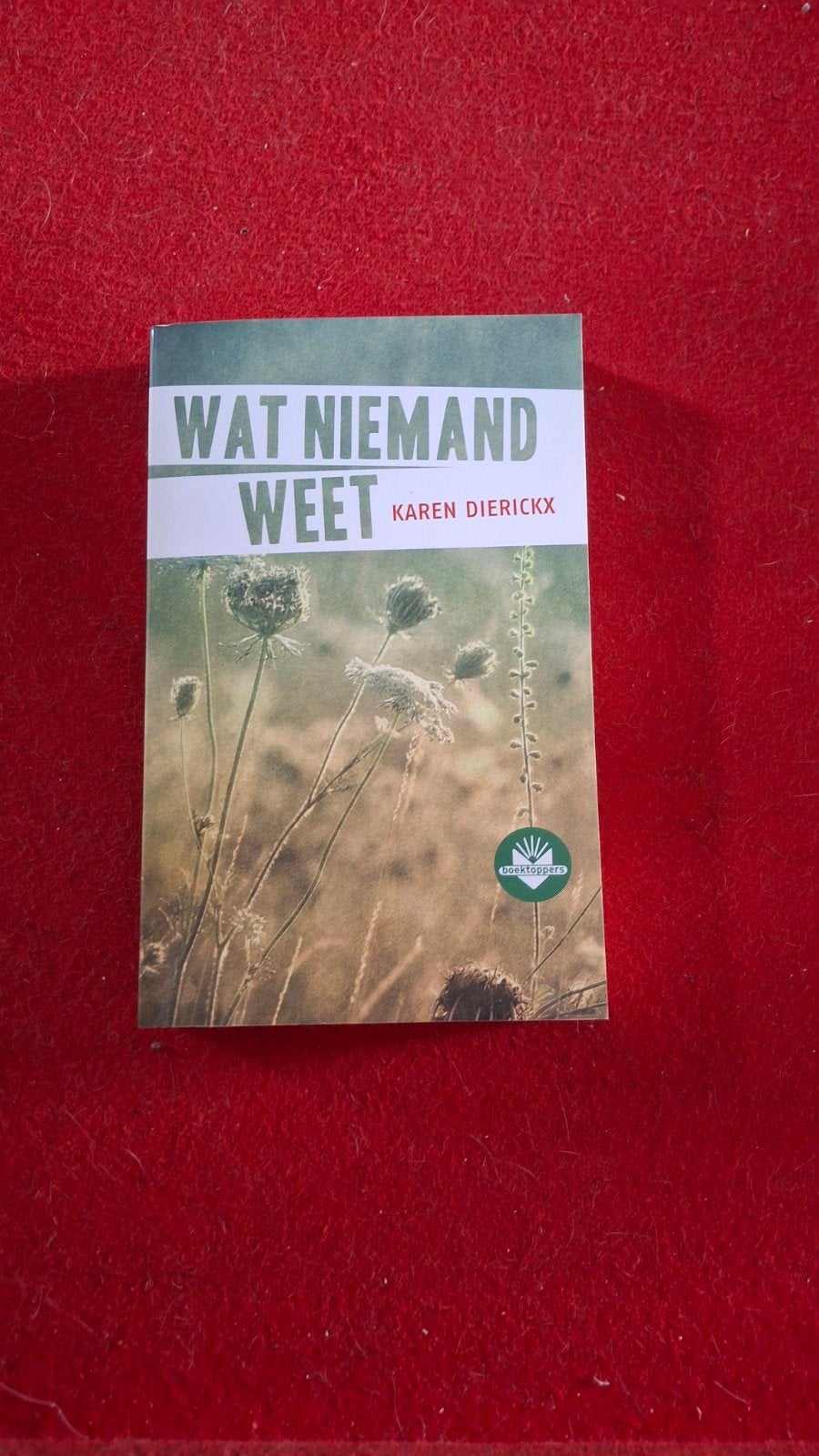 Wat niemand weet Karen Dierickx, Ophalen