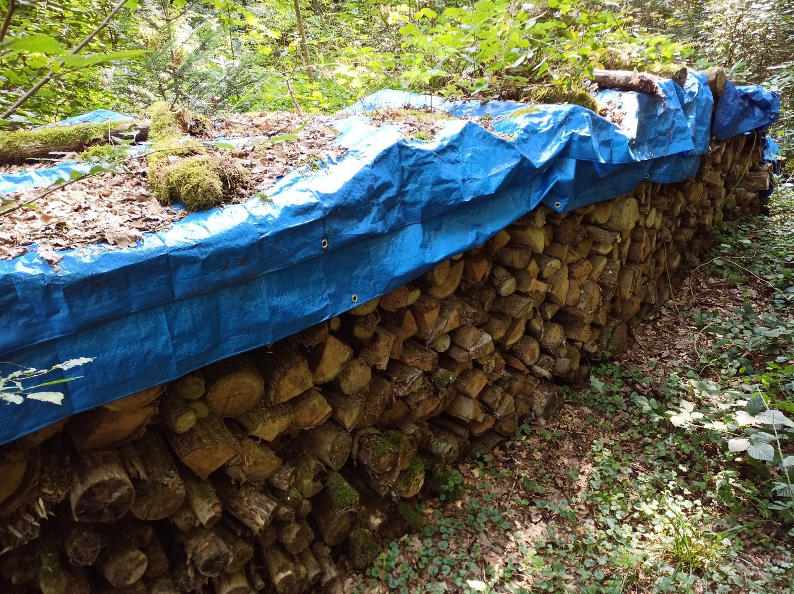 8 stères bois de chauffage sec 100% chêne, Jardin & Terrasse, Enlèvement, Chêne