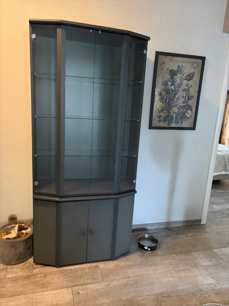 Vitrinekast, Enlèvement, Utilisé, Avec tablette(s), 150 à 200 cm