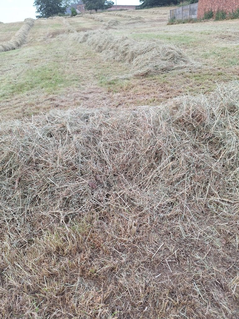 Hooi te koop, Dieren en Toebehoren, Ophalen, Vee