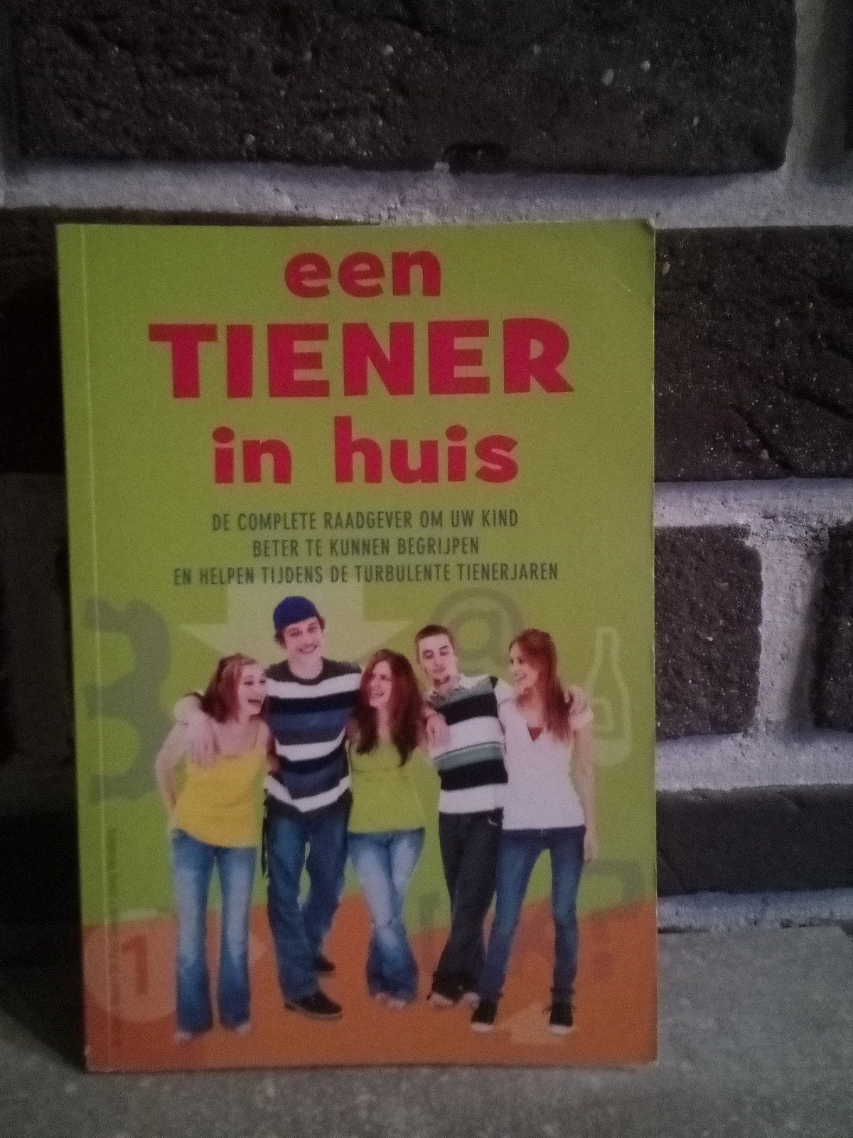 een tiener in huis, Boeken, Zwangerschap en Opvoeding, Ophalen of Verzenden