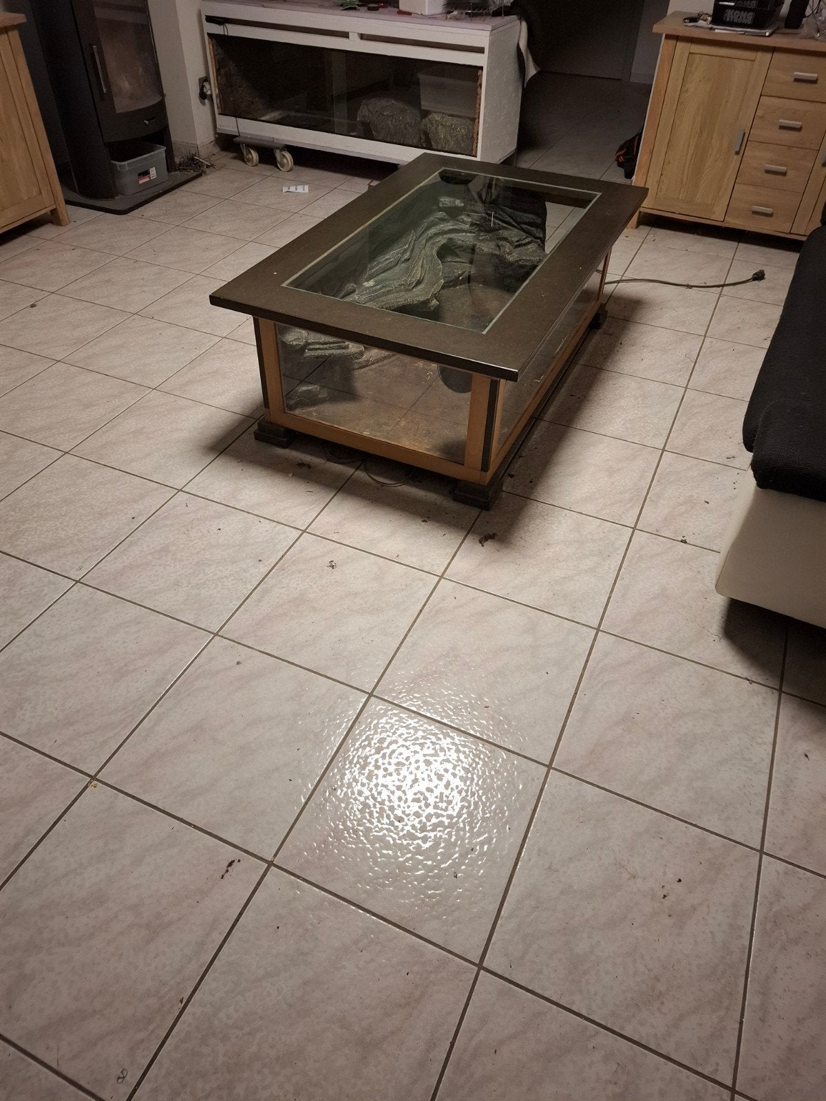 Mooie salontafel terrarium, Enlèvement