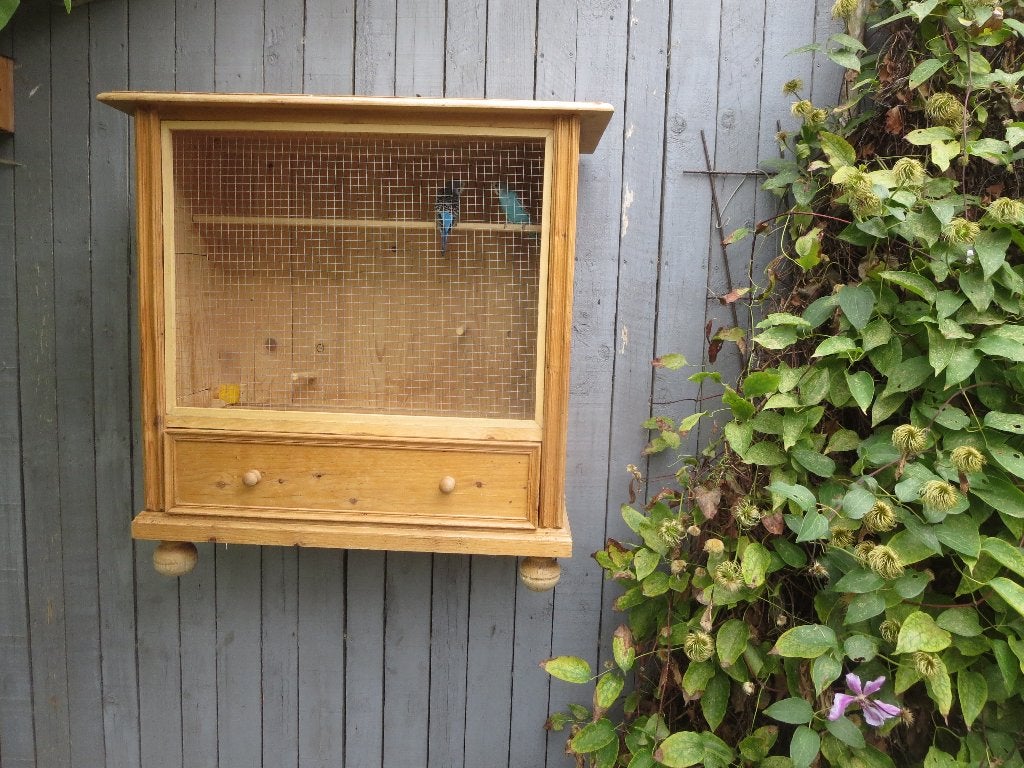 Originele volière, Dieren en Toebehoren, Vogels | Hokken en Kooien, Ophalen, Gebruikt, Volière