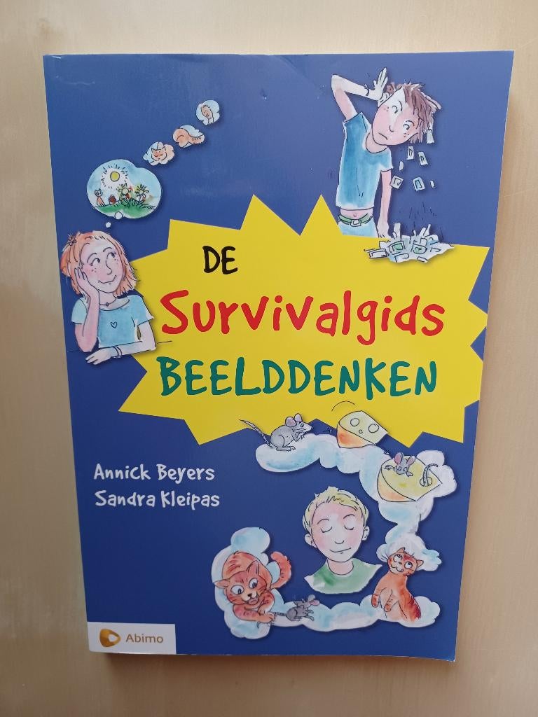 De survivalgids Beelddenken, Ophalen of Verzenden, Zo goed als nieuw, Annick Beyers