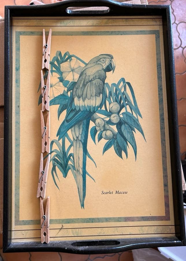 Dienblad met afbeelding papegaai, Ophalen, Zo goed als nieuw, Hout, Dienblad