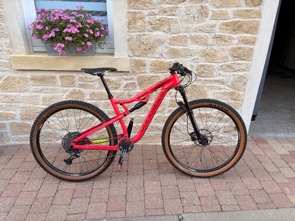 VTT Rockrider M, Autres marques, 49 à 53 cm, Enlèvement, Hommes