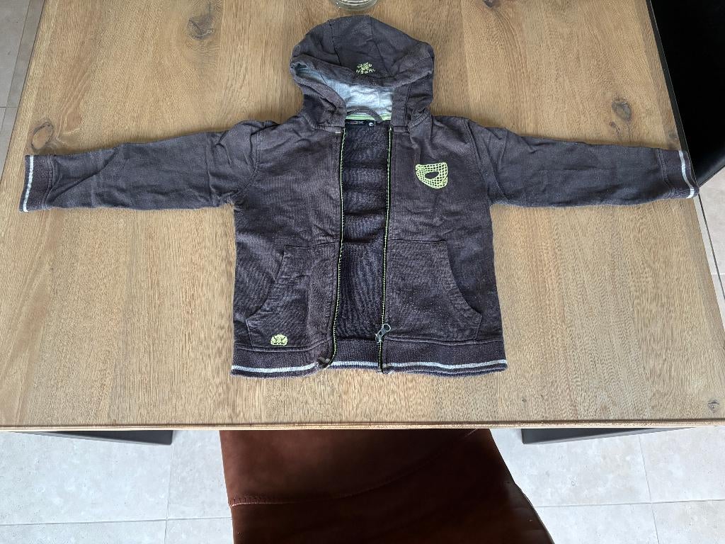 Rox grijze sweater met rits en kap maat 116, Kinderen en Baby's, Ophalen of Verzenden, Gebruikt, Jongen, Trui of Vest
