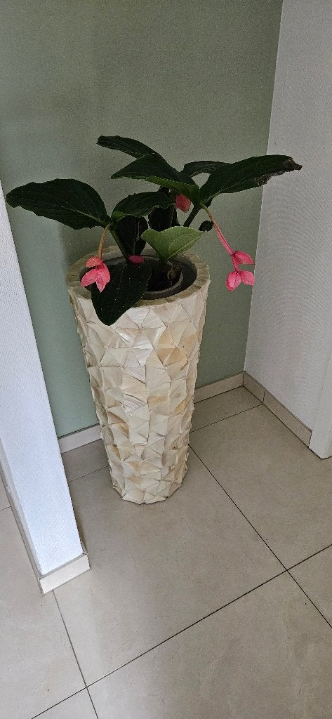 Vaas, Huis en Inrichting, Ophalen, Kunststof, Gebruikt, 76 cm