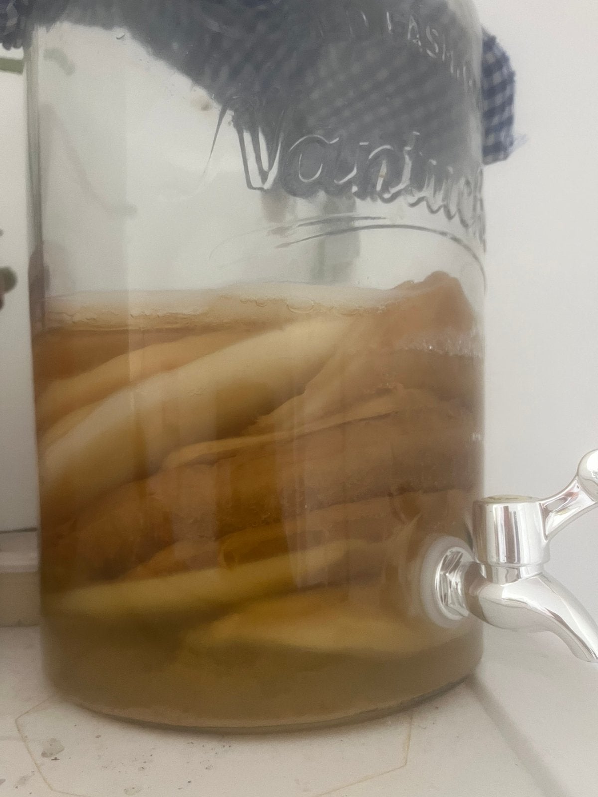 Scoby kombucha, Enlèvement, Comme neuf