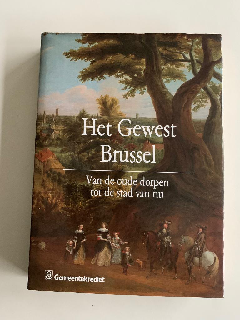 Het Gewest Brussel Van de oude dorpen tot de stad van nu, Enlèvement ou Envoi, Comme neuf