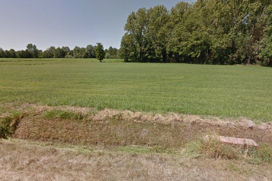 uit de hand te koop weide landbouwgrond, Dieren en Toebehoren, Weidegang, 2 of 3 paarden of pony's