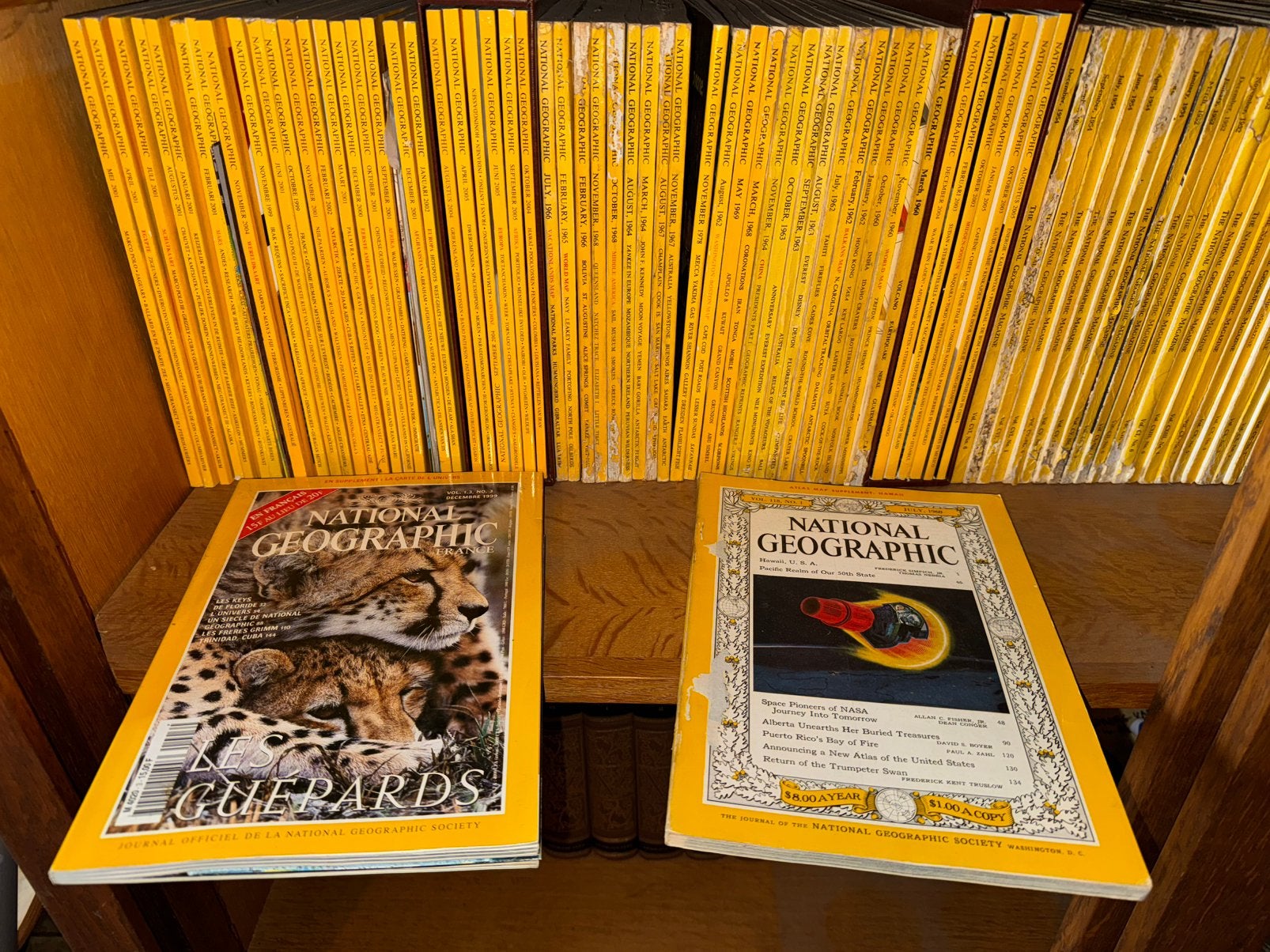 NATIONAL GEOGRAPHIC 🌻🐝, Ophalen, Gelezen