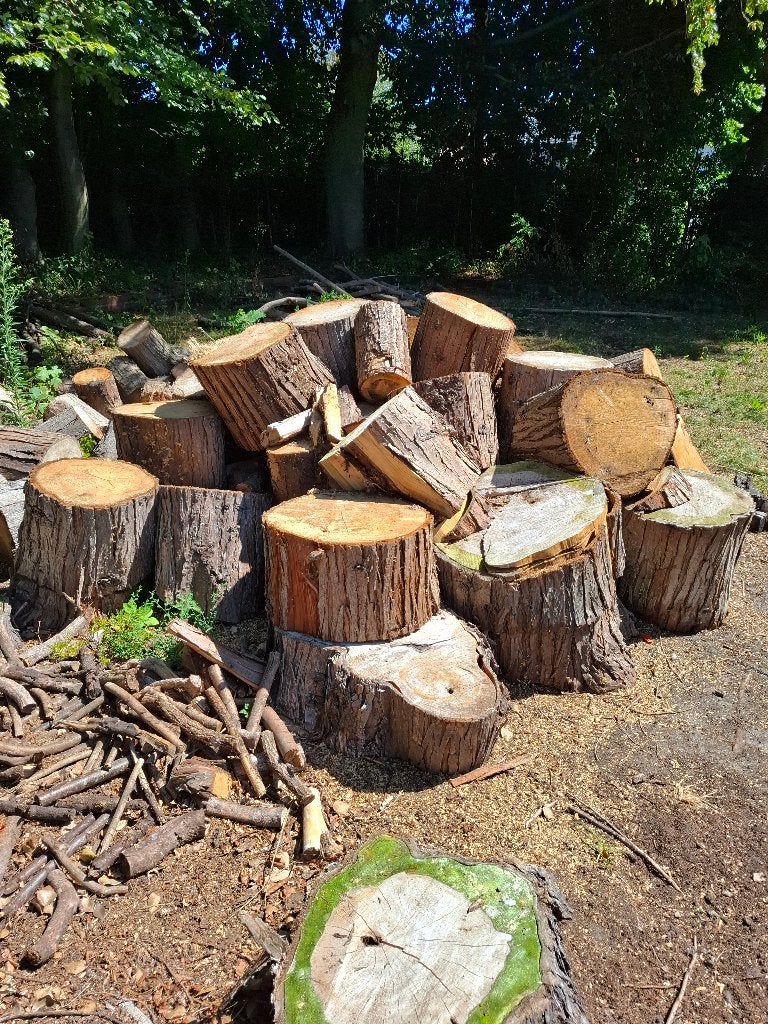 stookHout, 6 m³ of meer, Ophalen, Overige houtsoorten, Stammen